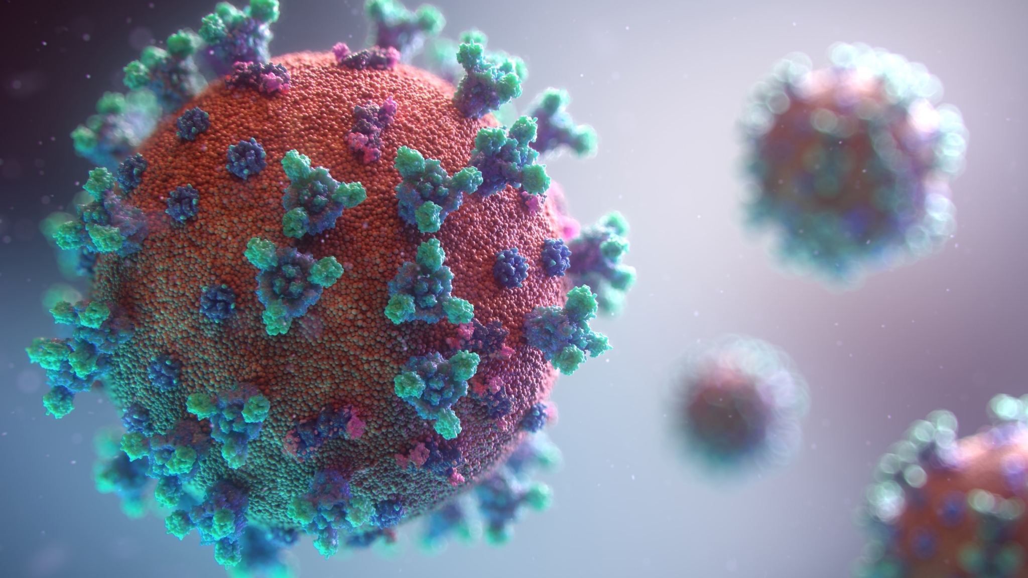 Identifying structurally stable peptides